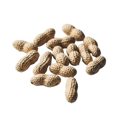 Imagen PNG para descargar